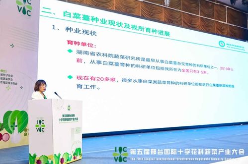 小种子撬动大产业——第五届邢台国际十字花科蔬菜产业大会启帷